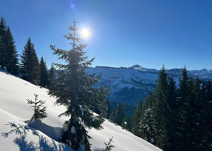 아파트 Edelschwarz Allgaeu 오버스타우펜
